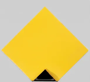 Drain Cover 12 inch
